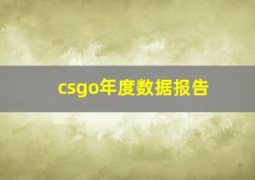 csgo年度数据报告