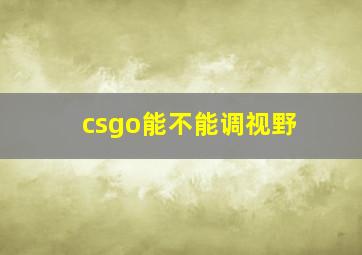 csgo能不能调视野