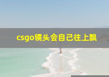 csgo镜头会自己往上飘