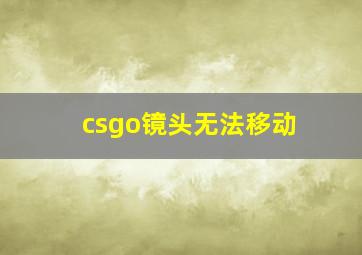 csgo镜头无法移动