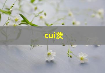 cui茨