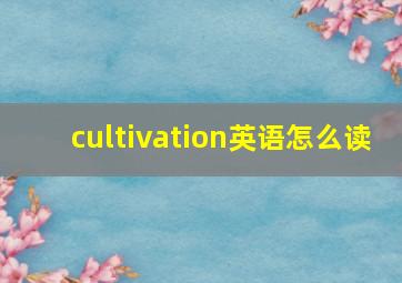 cultivation英语怎么读