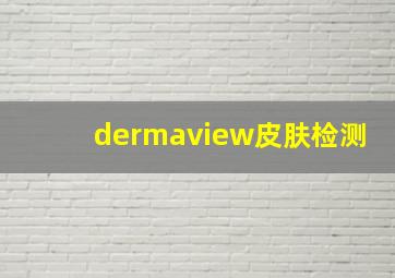 dermaview皮肤检测