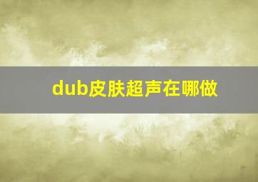 dub皮肤超声在哪做