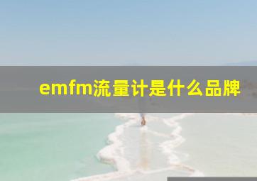 emfm流量计是什么品牌