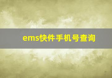 ems快件手机号查询