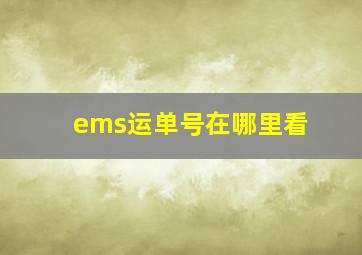 ems运单号在哪里看