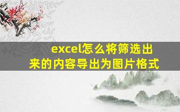 excel怎么将筛选出来的内容导出为图片格式