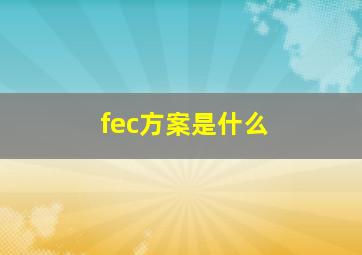 fec方案是什么