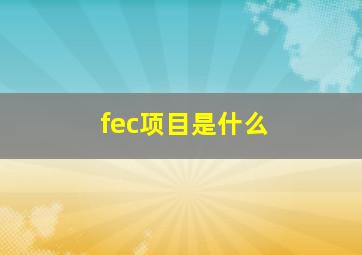 fec项目是什么