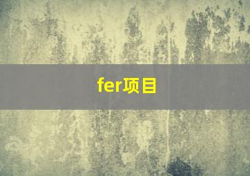 fer项目