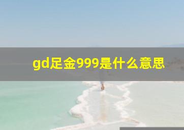 gd足金999是什么意思