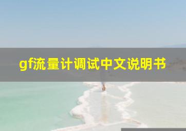 gf流量计调试中文说明书