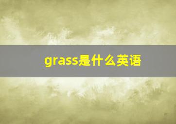 grass是什么英语