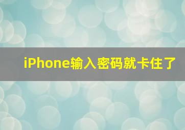 iPhone输入密码就卡住了