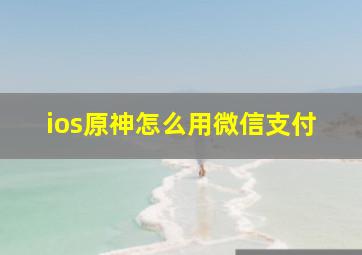 ios原神怎么用微信支付