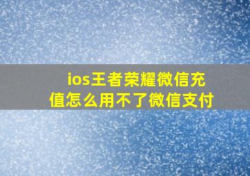 ios王者荣耀微信充值怎么用不了微信支付