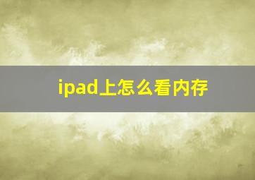 ipad上怎么看内存