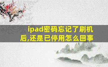 ipad密码忘记了刷机后,还是已停用怎么回事