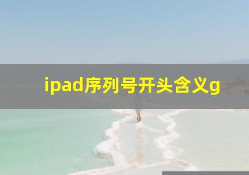 ipad序列号开头含义g