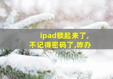 ipad锁起来了,不记得密码了,咋办