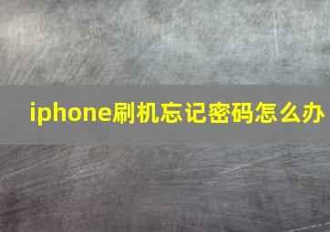 iphone刷机忘记密码怎么办