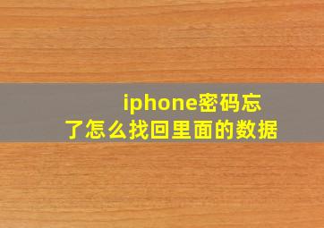 iphone密码忘了怎么找回里面的数据