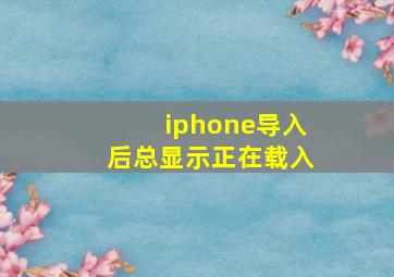 iphone导入后总显示正在载入