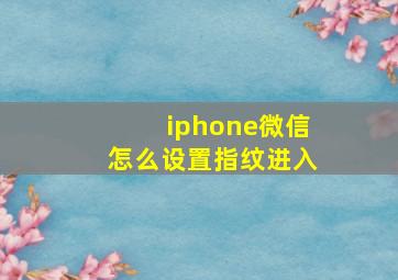 iphone微信怎么设置指纹进入