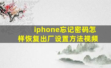 iphone忘记密码怎样恢复出厂设置方法视频