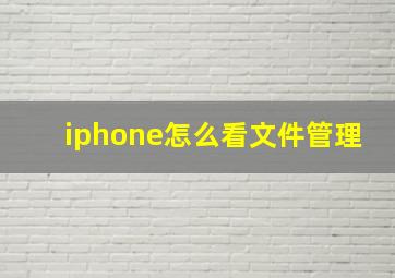 iphone怎么看文件管理