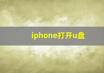 iphone打开u盘