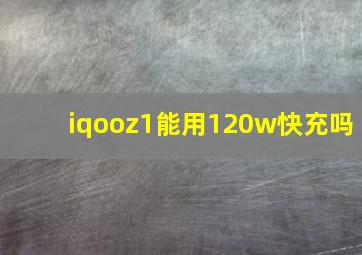 iqooz1能用120w快充吗