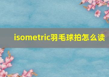 isometric羽毛球拍怎么读