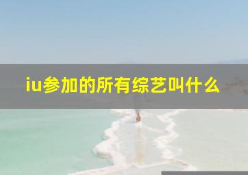 iu参加的所有综艺叫什么