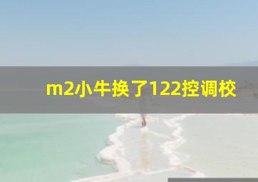 m2小牛换了122控调校