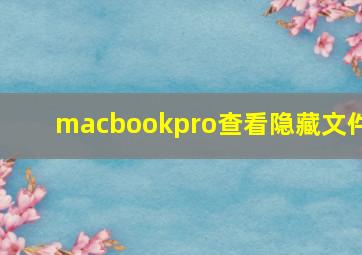 macbookpro查看隐藏文件