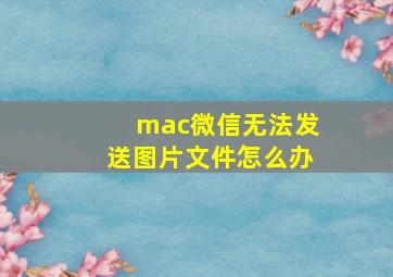 mac微信无法发送图片文件怎么办