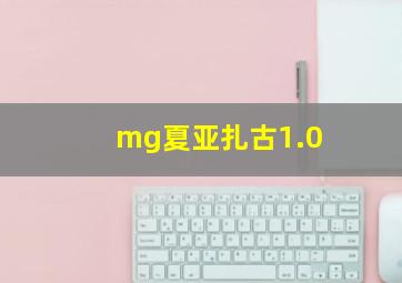 mg夏亚扎古1.0