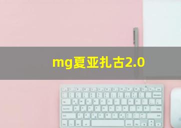 mg夏亚扎古2.0