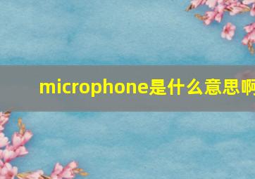 microphone是什么意思啊