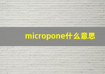 micropone什么意思