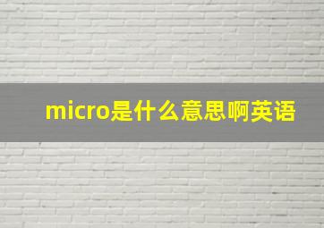 micro是什么意思啊英语