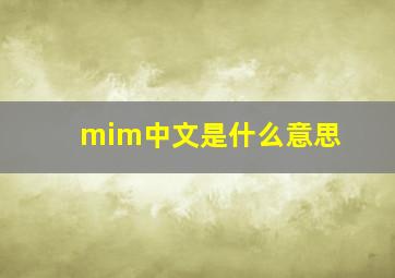 mim中文是什么意思