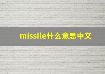 missile什么意思中文