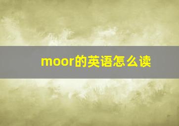 moor的英语怎么读