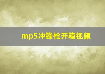 mp5冲锋枪开箱视频