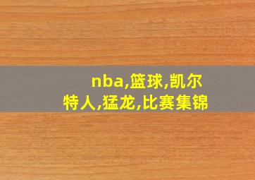 nba,篮球,凯尔特人,猛龙,比赛集锦