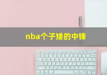 nba个子矮的中锋