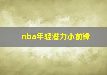 nba年轻潜力小前锋